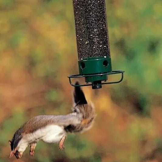 🔥New Summer 2023🔥100% Squirrel-Proof Bird Feeder✨ - Tavaro Signature Product