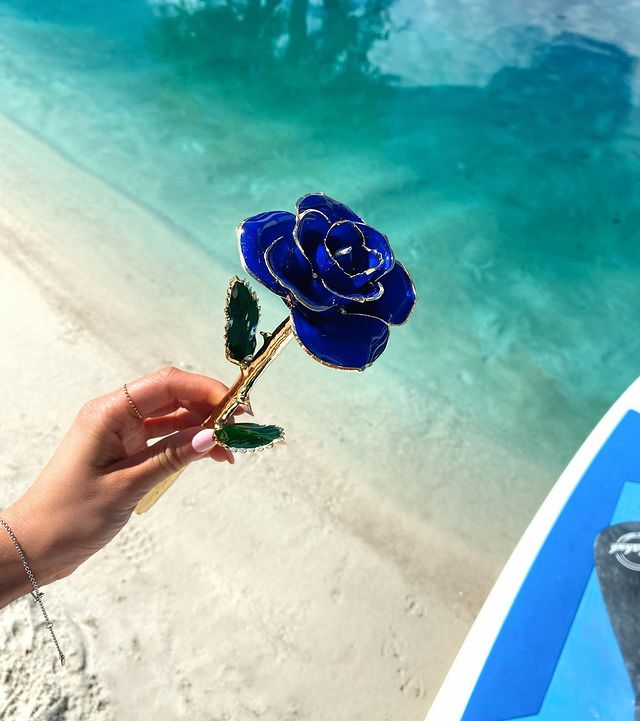 24k Gold Dipped Rose