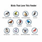ðŸ”¥New Summer 2023ðŸ”¥100% Squirrel-Proof Bird Feederâœ¨ - Tavaro Signature Product