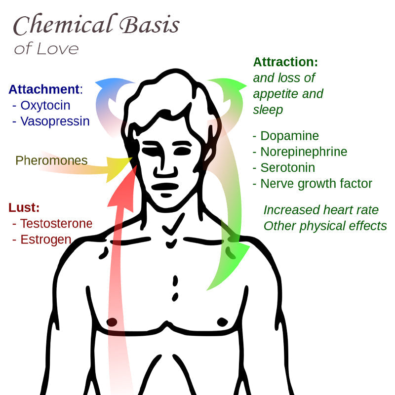 PheromoneAttracting PerfumeOil