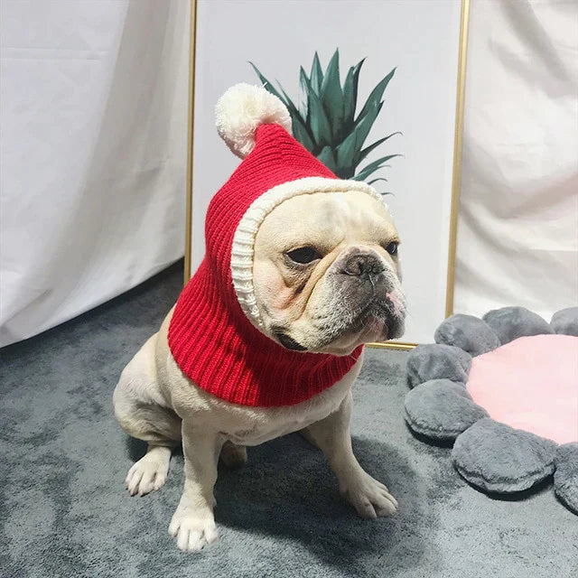 Stylish Pet woollen Hat