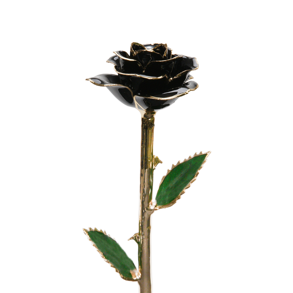 24k Gold Dipped Rose