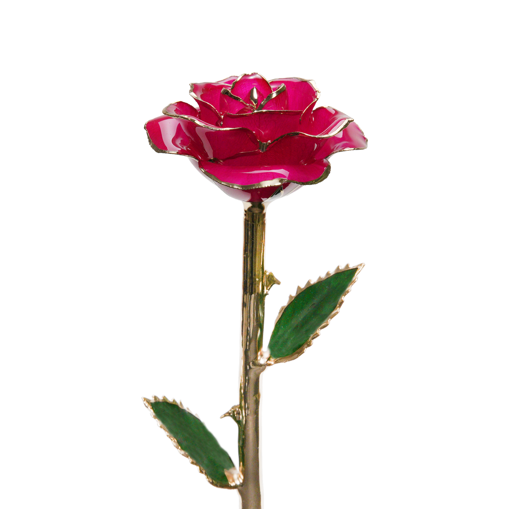 24k Gold Dipped Rose