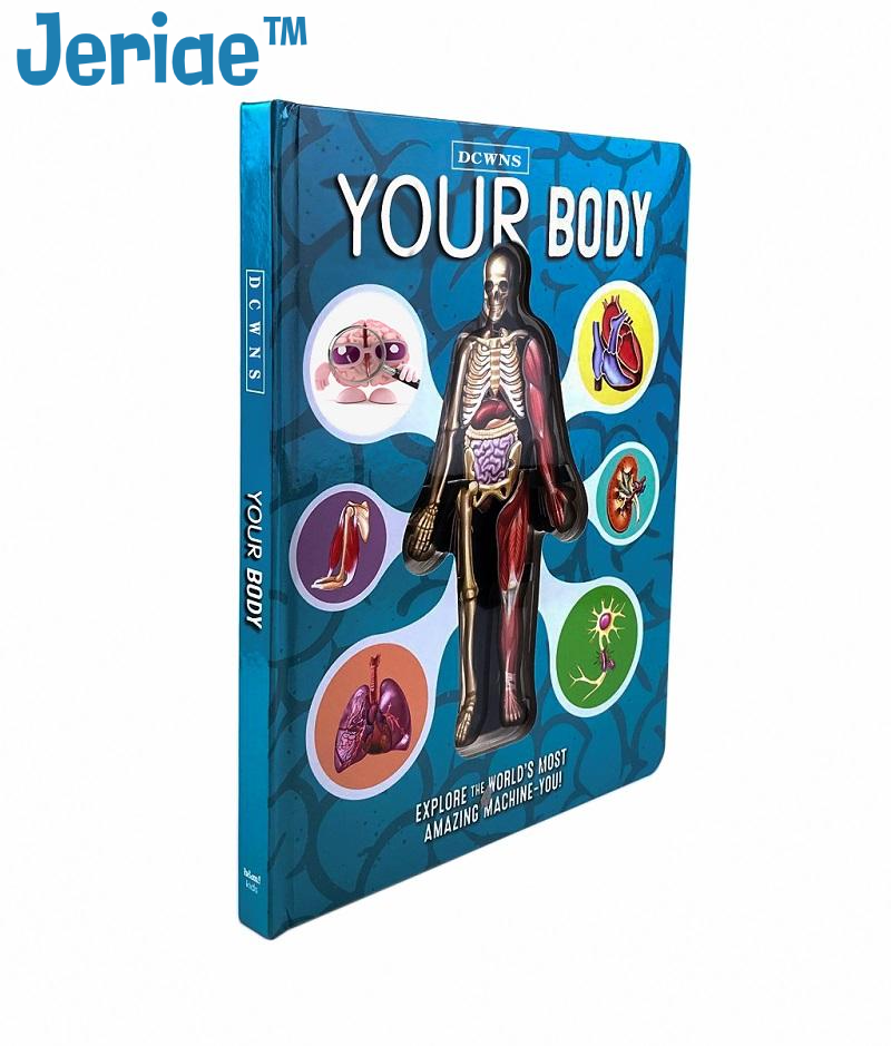 Jeriae™ Anatomy of The Human Body 3D Picture Book