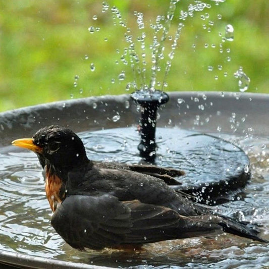 Solar Powered Water Fountain（Buy 2 Free Shipping）