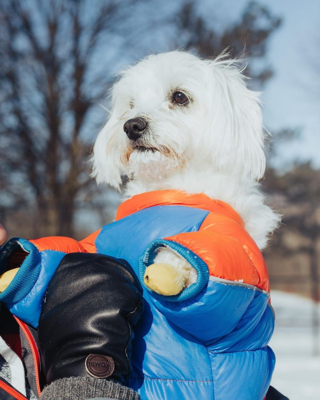 Dog Winter Jumpsuit