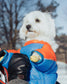 Dog Winter Jumpsuit