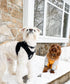 Dog Winter Jumpsuit