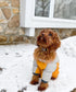 Dog Winter Jumpsuit