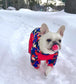 Dog Winter Jumpsuit